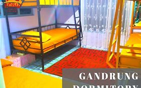 Robiu Homestay